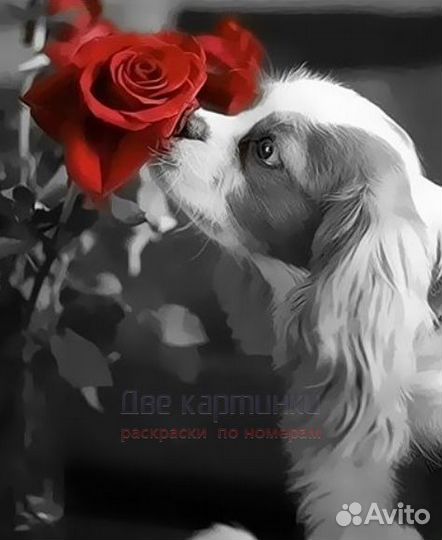 Картина по номерам 40x50 Пёсик нюхает красные розы