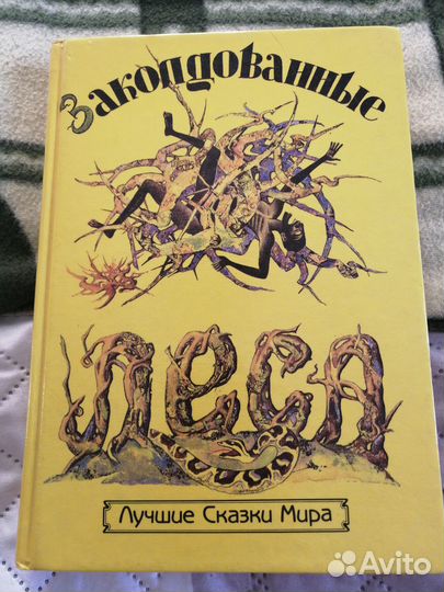 Заколдованные леса. Лучшие сказки мира