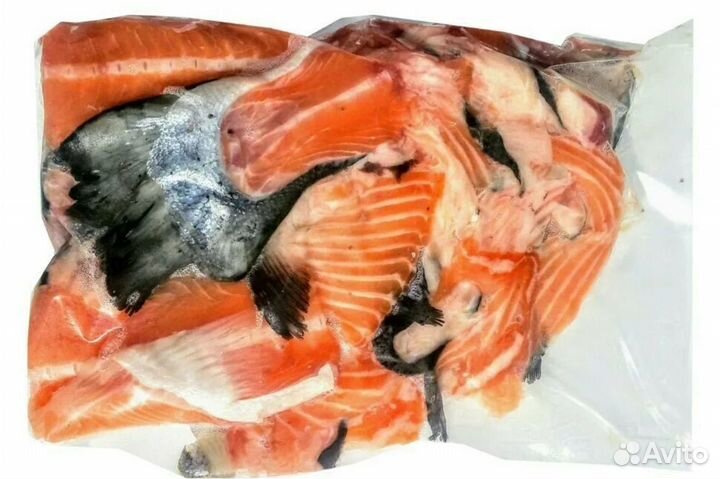 Хребты семги