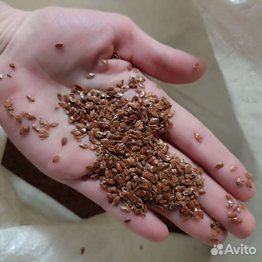 Корм для животных жмыхи после отжима