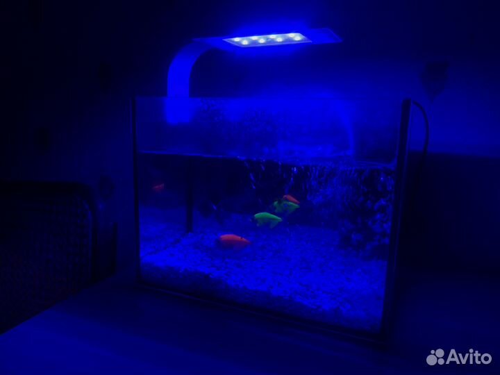 Аквариум с рыбками