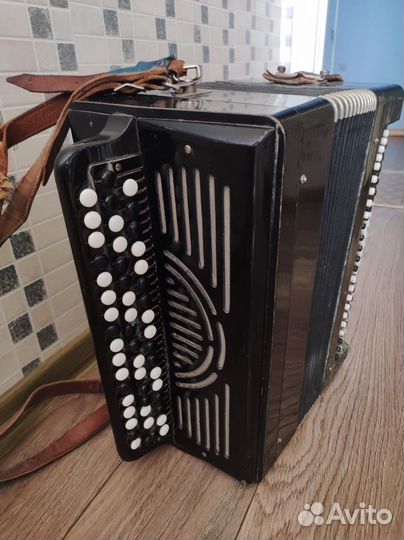 Баян тульский