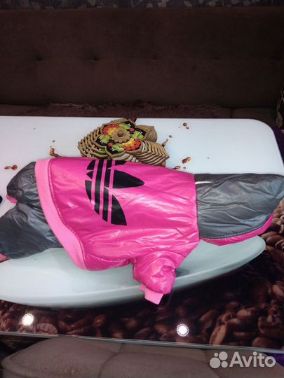 Комбинезон для маленькой собаки