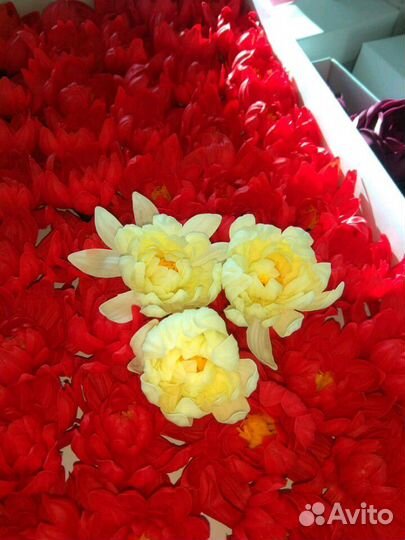 Мыльные розы