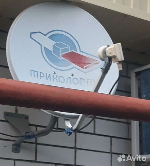 Тарелка триколор