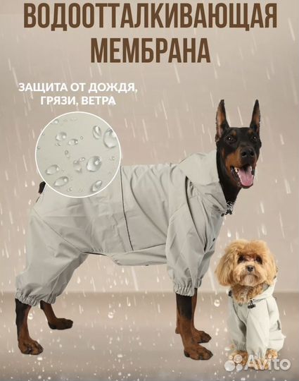 Дождевик и шлейка для собак всех пород