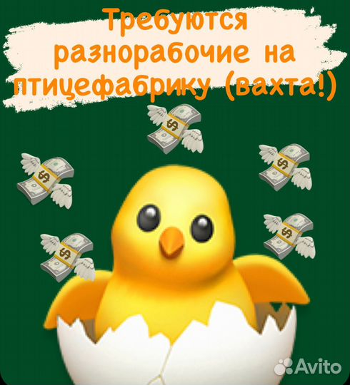 Разнорабочий птицефабрика свердловская обл (вахта)