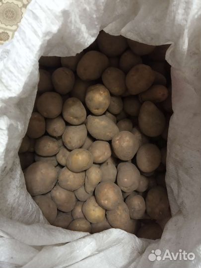 Картофель деревенский
