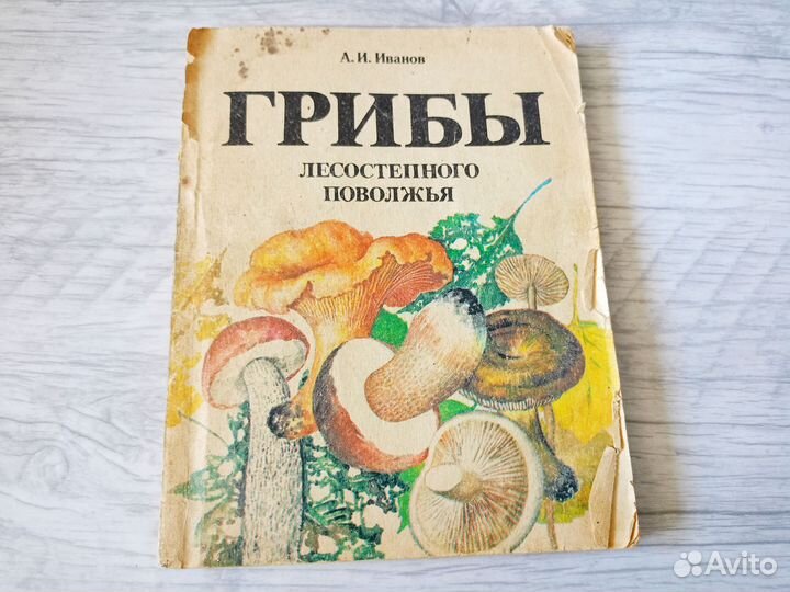 Книга грибы