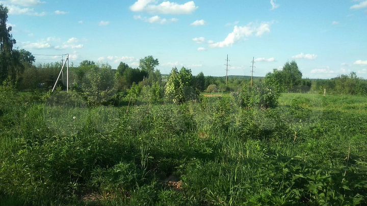 Участок 15 сот. (ИЖС)