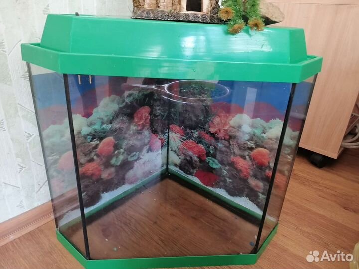 Аквариум