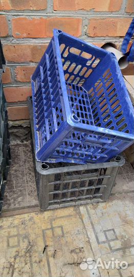 Пластиковые ящики для овощей бу