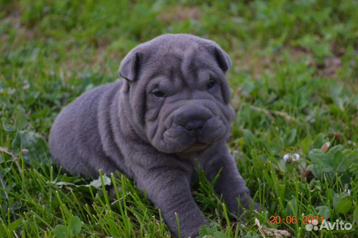 Самые красивые