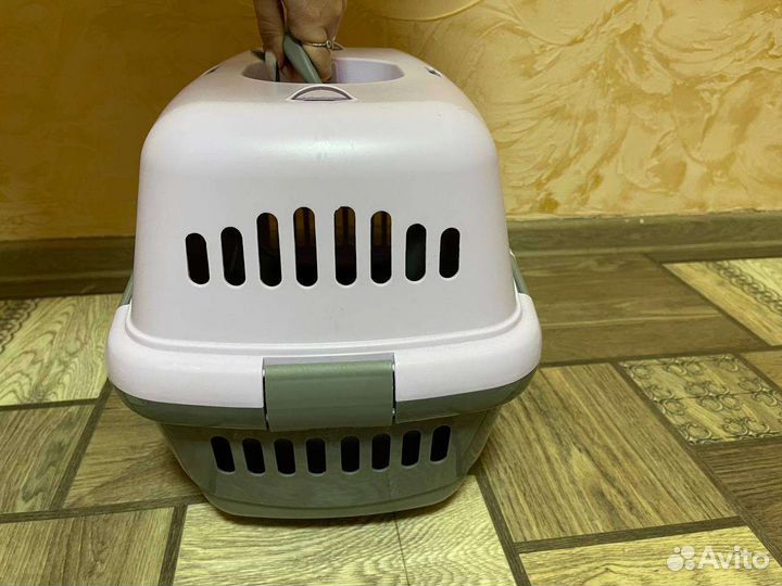 Товары для кошек