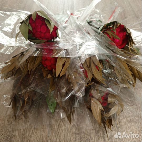 Шишки декоративные, сухоцветы