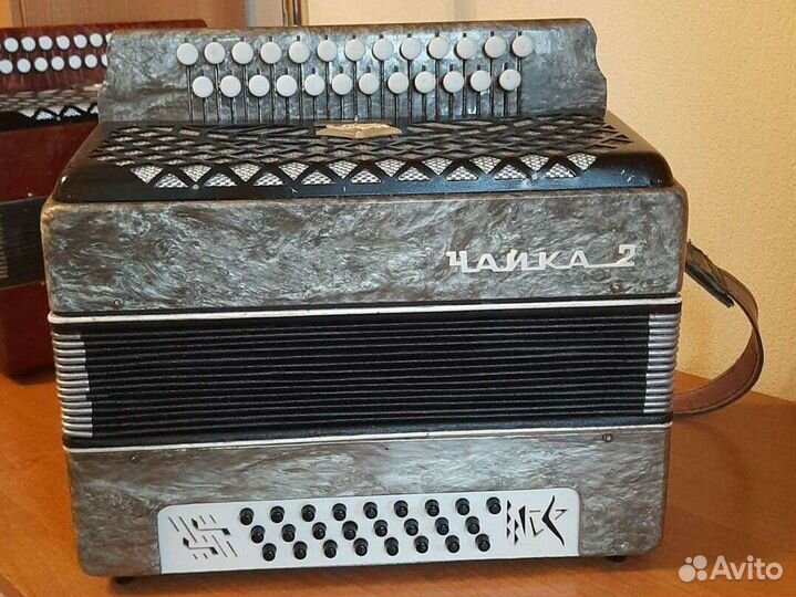 Гармонь чайка 2