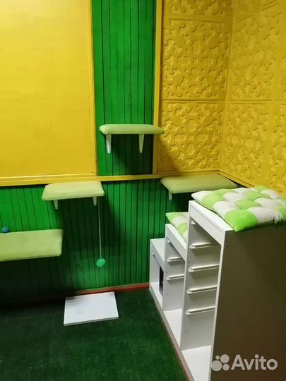 Гостиница для кошек 