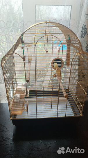 Волнистый попугай с клеткой