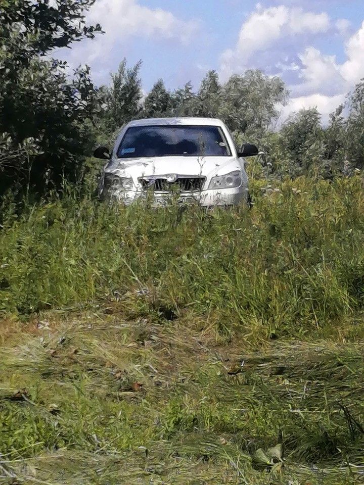 Skoda Octavia: фото владельца