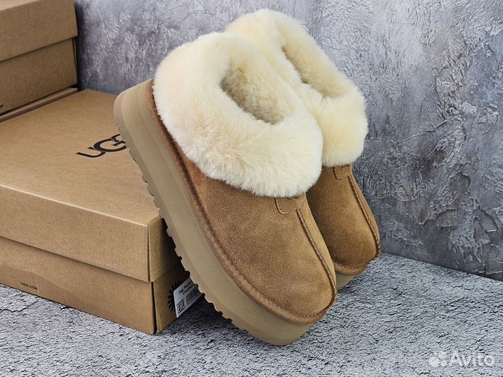 Ugg mate revival/ ugg slipper platform+4 расцветок