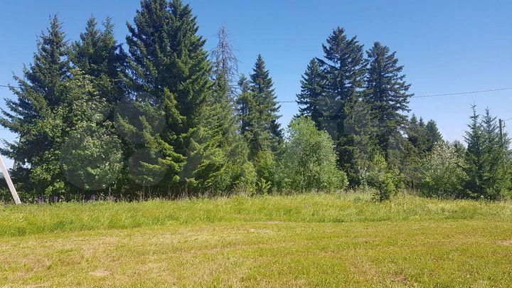 Участок 10 сот. (СНТ, ДНП)