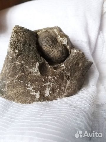 Камень в коллекцию