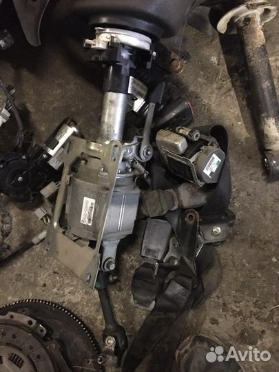 Эур приора, без мозгов