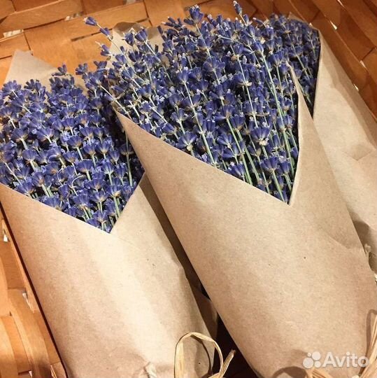 Букеты премиальный лаванды