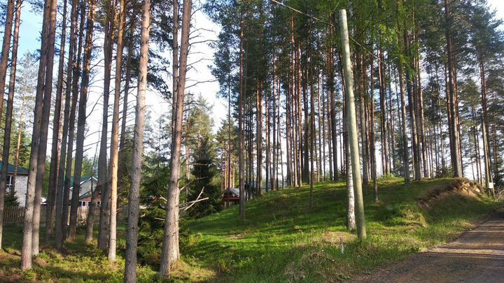 Дом 195 м² на участке 10 сот.