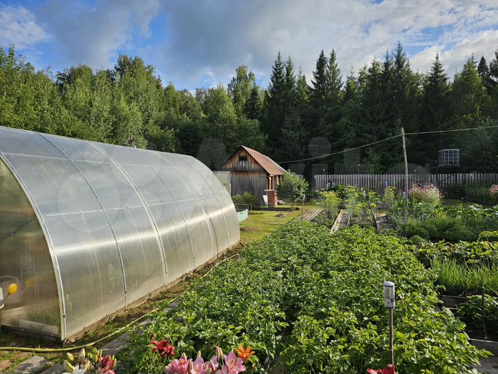 Дом 50 м² на участке 8,5 сот.