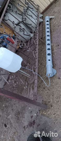 Цыплята суточные, куры несушки