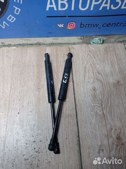 Упоры капота на BMW X5 Е53