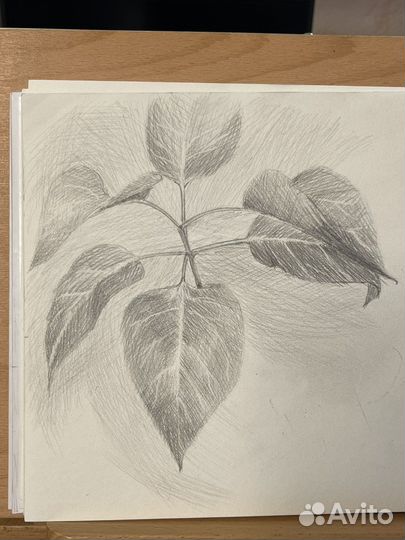 Ластик Derwent