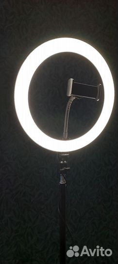 Кольцевая лампа 26 см на штативе 210 см