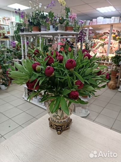 Пионы - Букеты с доставкой