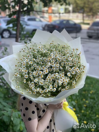 Полевые ромашки монобукет Букет цветов Доставка