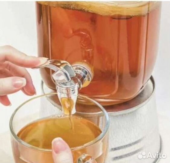 Чайный гриб