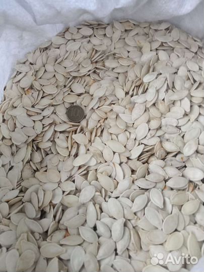 Тыквенные семечки