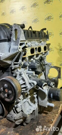 Двигатель Ford Focus 3 pnda
