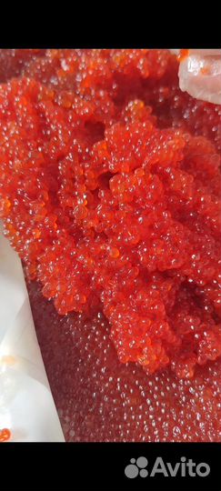 Красная икра оптом