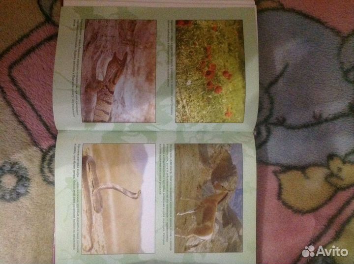 Тайны живой природы авторов Дроздова и Макеева