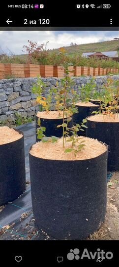 Контейнеры для растений Bagpot