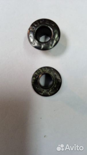 Хольнитены черные