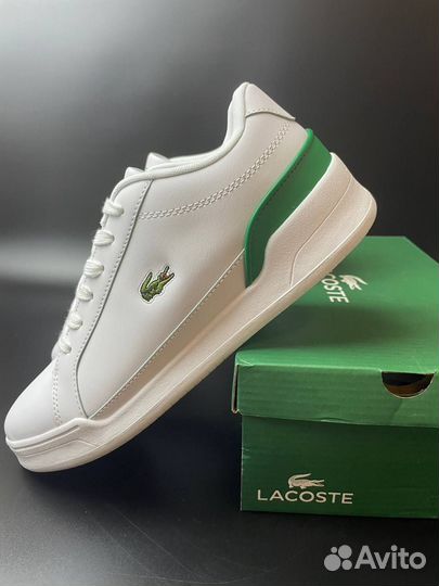 Lacoste кеды мужские