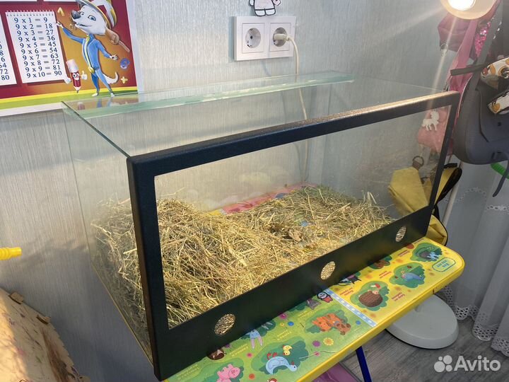 Террариум для сухопутной черепахи