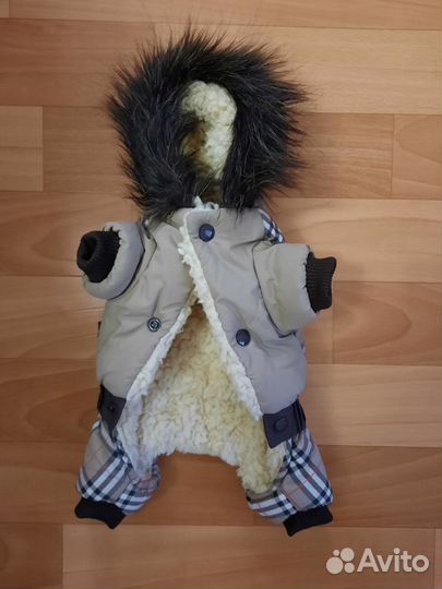 Одежда для собак мелких пород