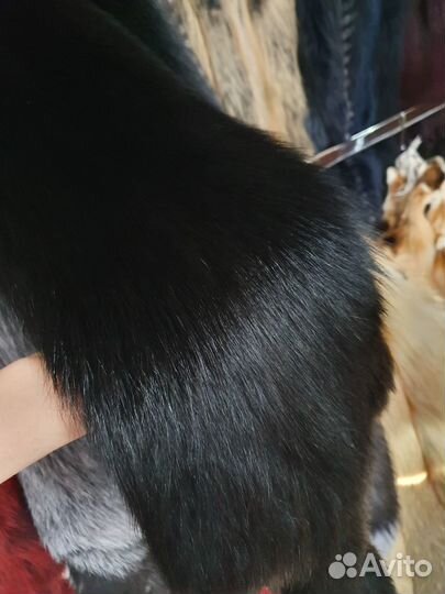 Шкурки песца черный