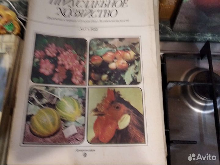 Журнал Приусадебное хозяйство