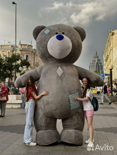 Белый мишка поздравление, ми ту ю, панда