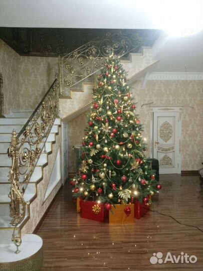 Ёлка в аренду Ёлка на прокат